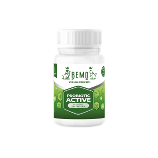 Probiotic Active  - probiotyk dla psa i kota