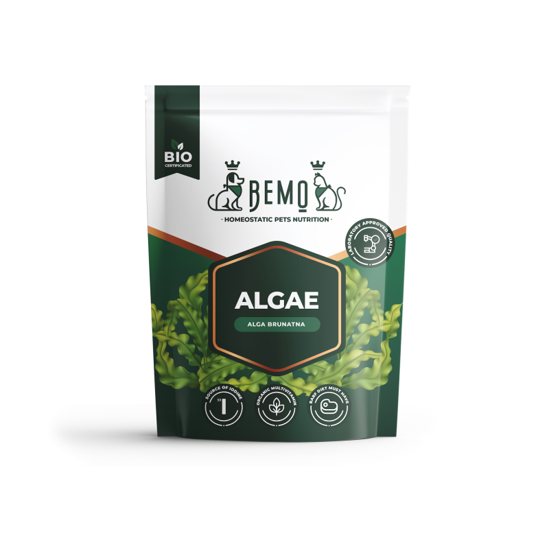 Bemo Algae - alga brunatna dla psa i kota Bemo Algae - alga brunatna dla psa i kota