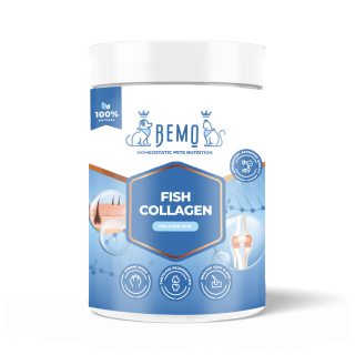 Bemo Fish Collagen - kolagen dla psa i kota