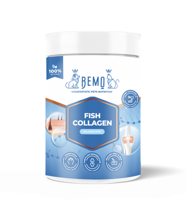 Bemo Fish Collagen - kolagen dla psa i kota