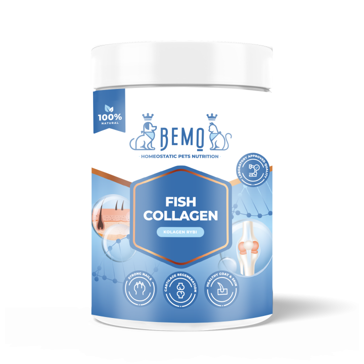 Bemo Fish Collagen - kolagen dla psa i kota