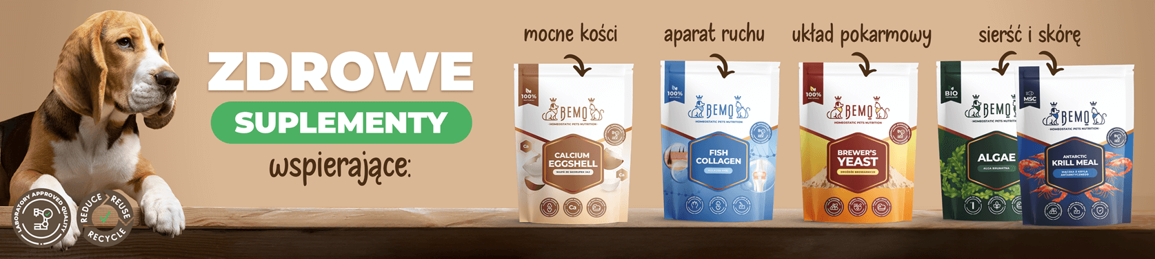 Suplementy dla psów i kotów