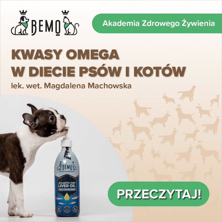 Kwasy Omega w diecie psów i kotów