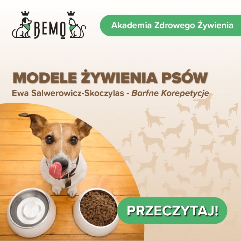 Modele żywienia psów